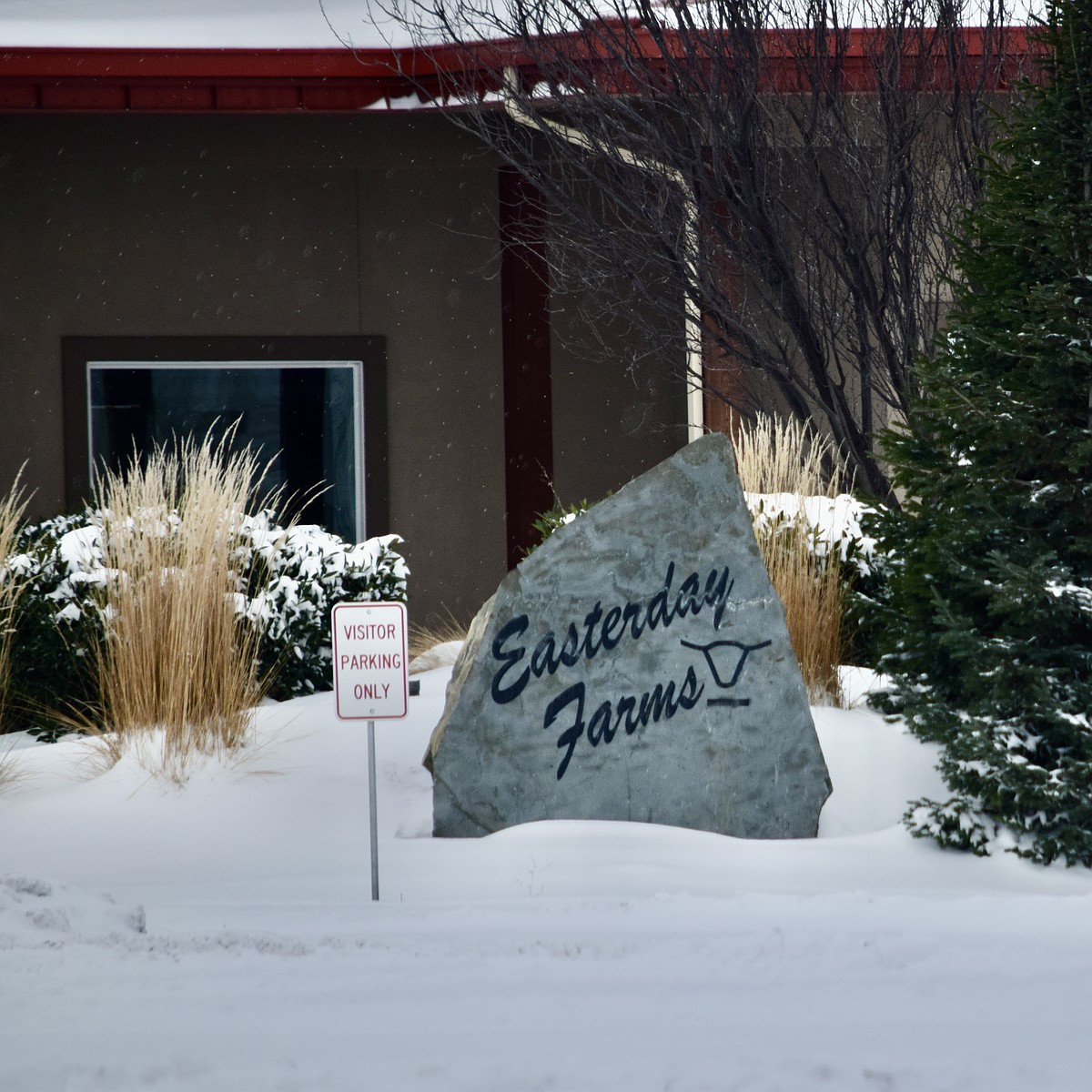 A spectacular fall: Easterday companies file for bankruptcy amid fraud ...