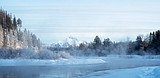 Life at 20 below