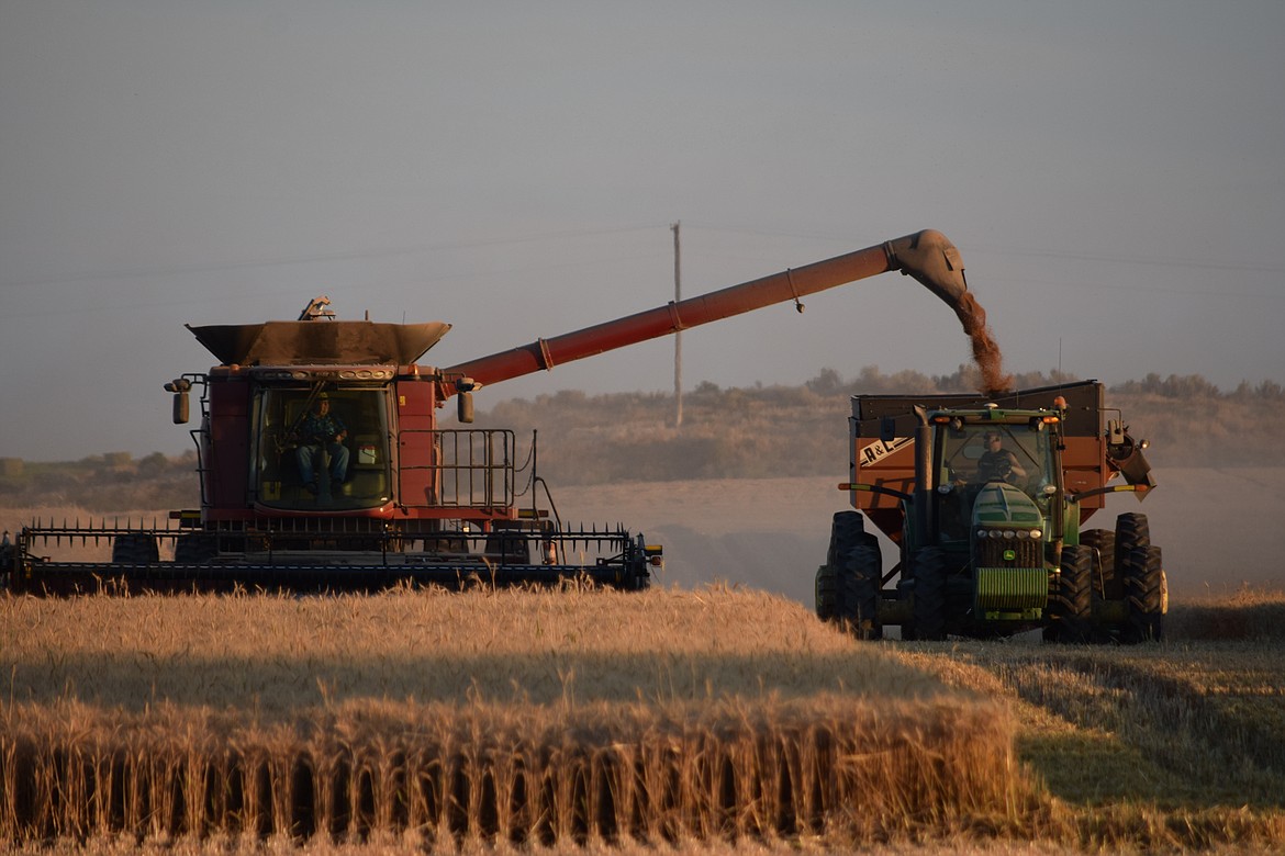 Agriculture has a much larger role in eastern Washington than in the western part of the state.