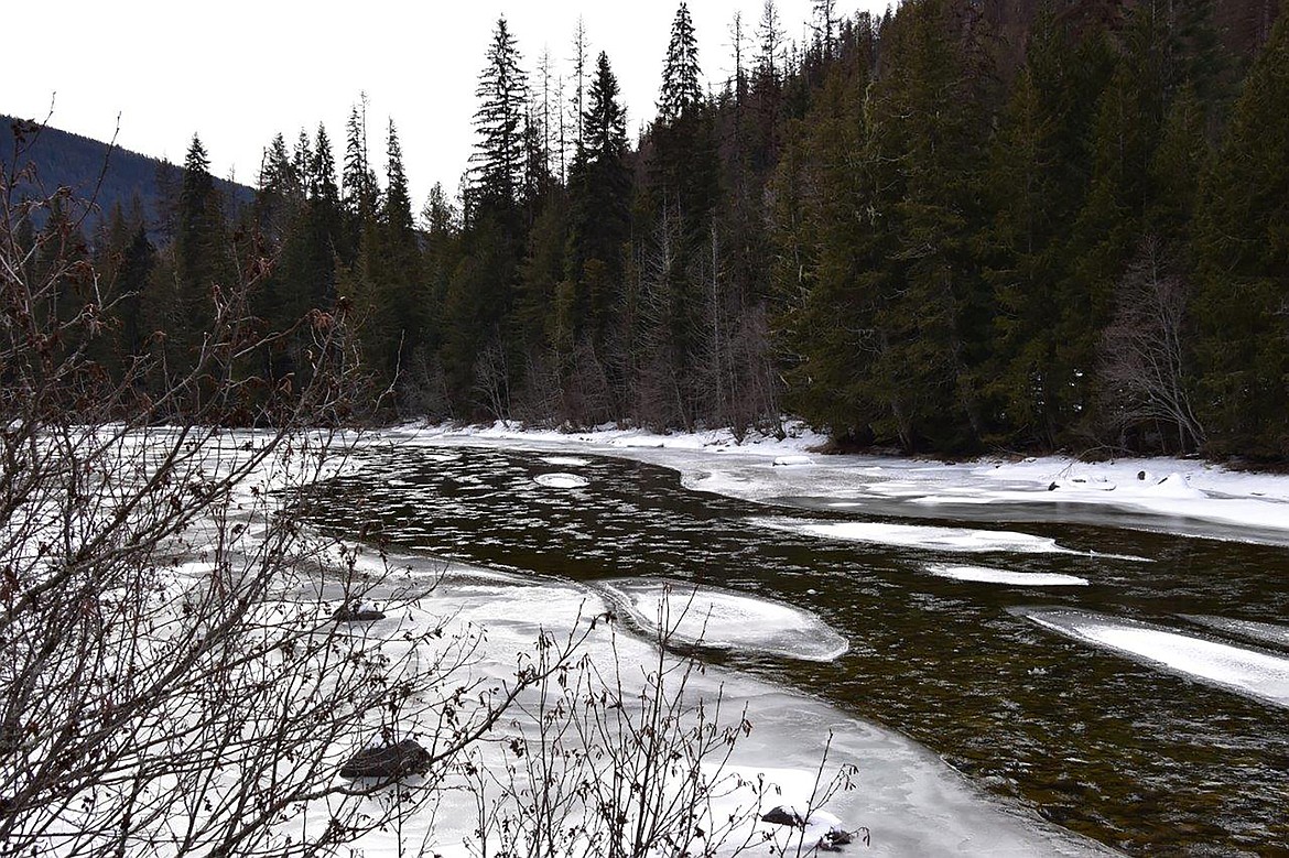 Local photographer Robert Kalberg captured this photo along the Yaak River Road.