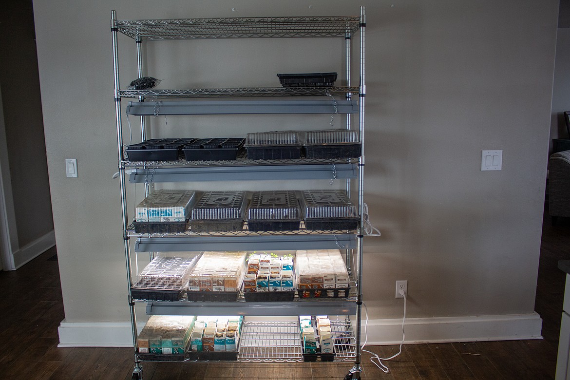 Holly Trinnaman's shelves, still mostly empty, inside her home in Moses Lake on Wednesday are ready to be filled with plant starts when the time is right.