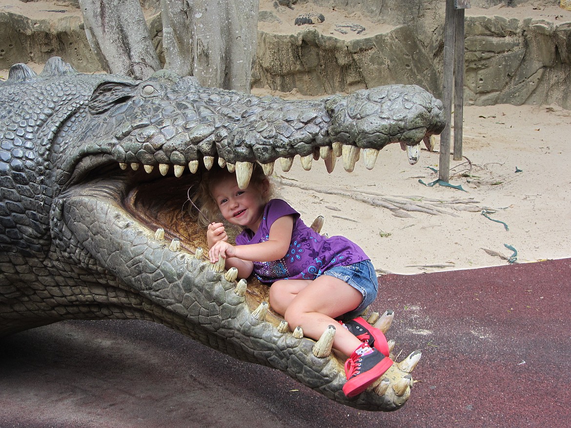 In the life-size jaws of a saltwater crocodile replica.