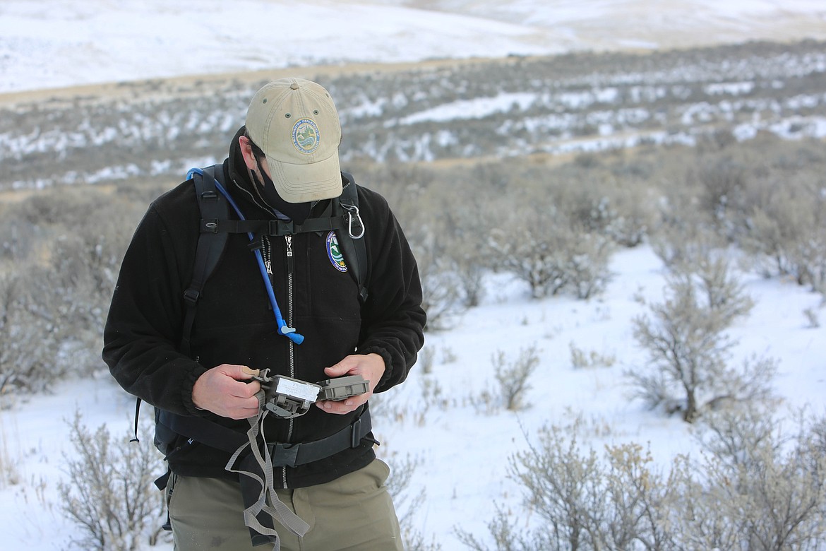 WDFW biologist Jon Gallie checks a trail camera on the Beezley Hills Preserve on Tuesday.