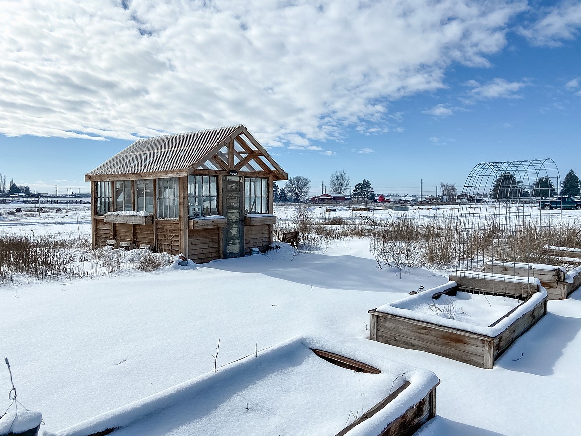 Heather Gessele's greenhouse in Moses Lake sits in her backyard surrounded by snow on Wednesday afternoon.