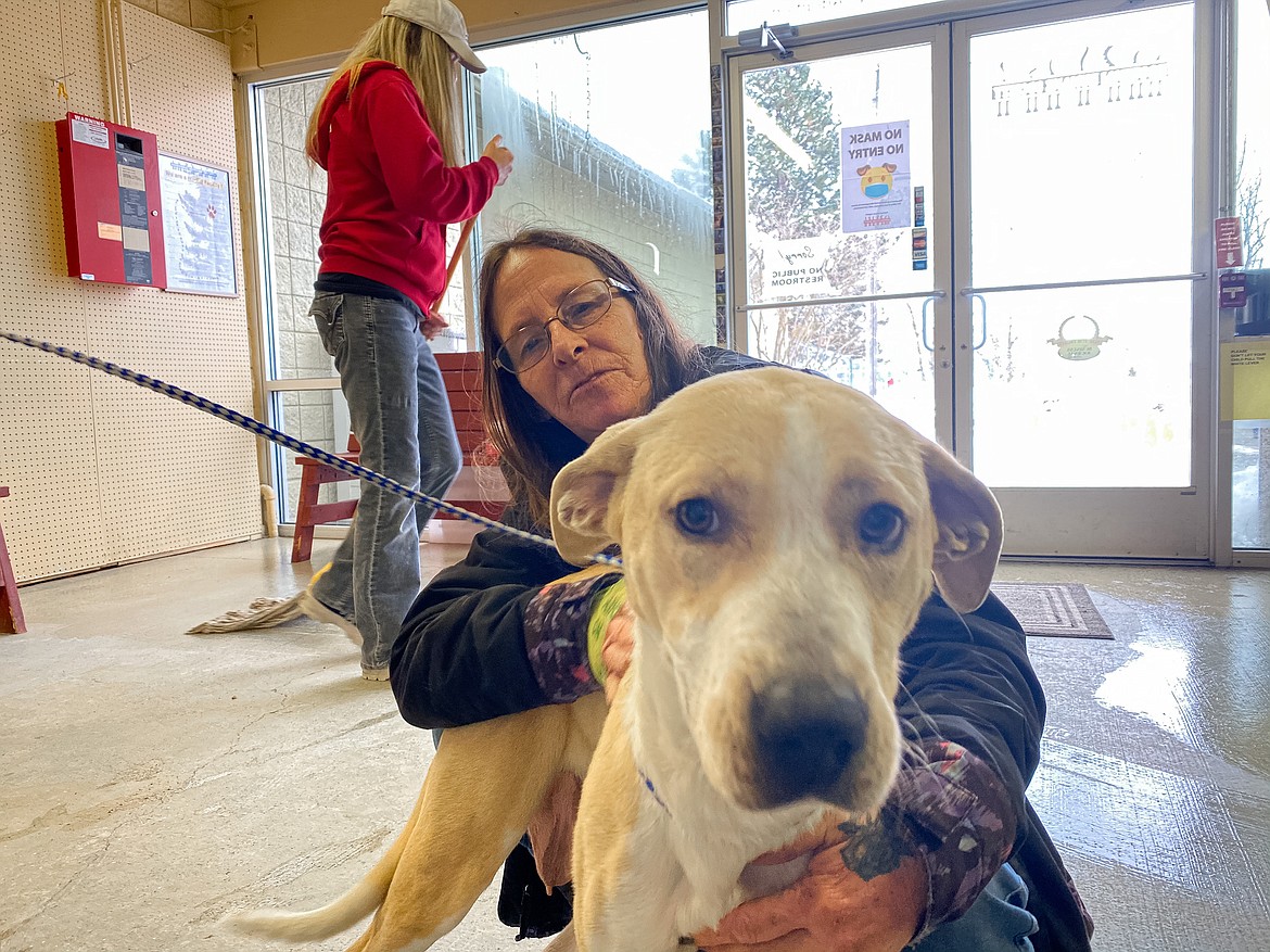 Dog technician Mary Powell said Willow, one of the Kootenai Humane Society's current available pups, is far from vicious. Instead, she enjoys lots of hugs, treats, and giving kisses. (MADISON HARDY/Press)