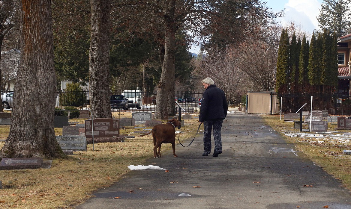 A person walks their dog through St. Thomas Cemetery on Tuesday.