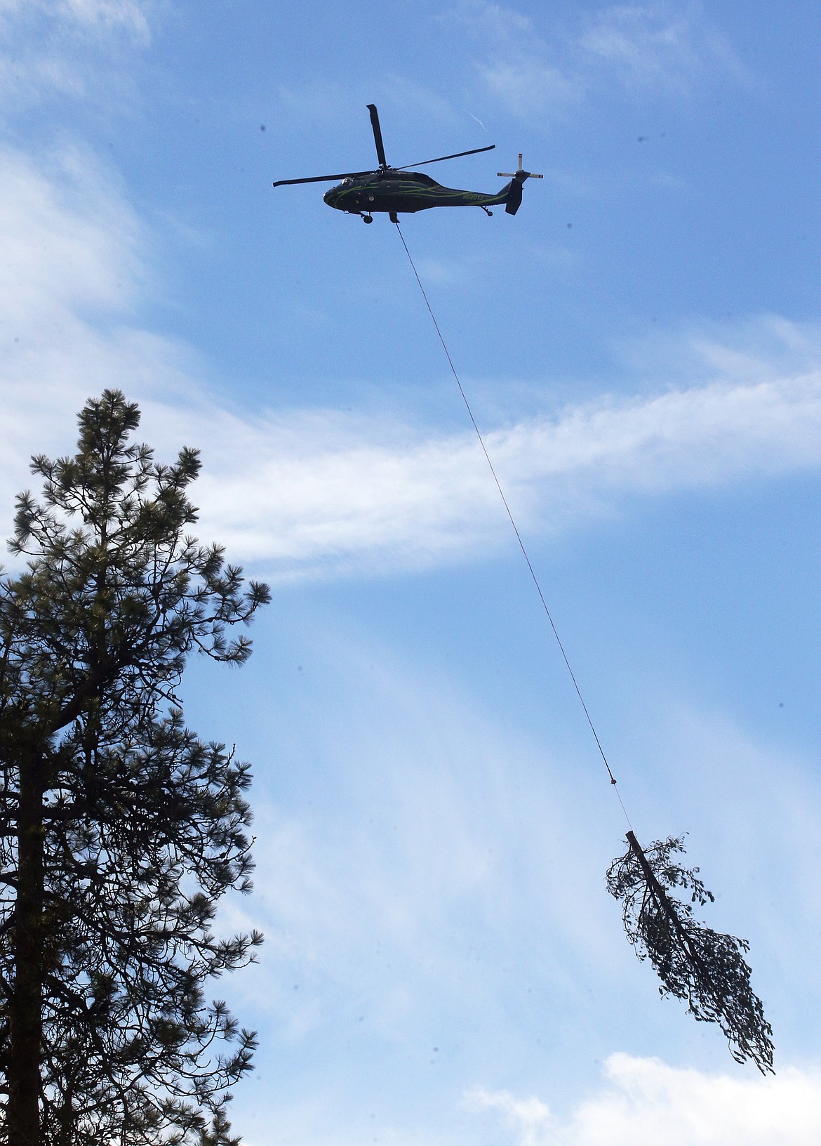 A helicopter carrying a tree soars above The Coeur d'Alene Resort Golf Course on Tuesday during an aerial operation to remove downed trees from the January windstorm.