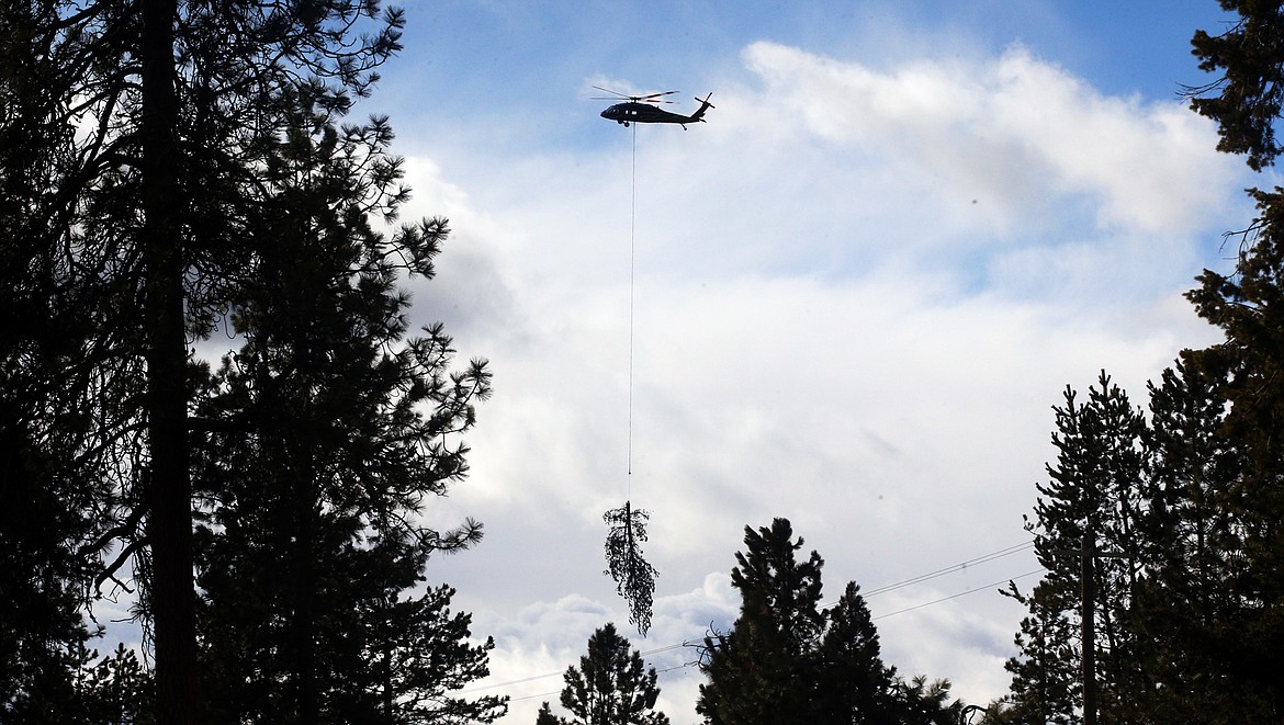 A helicopter carries a tree away from The Coeur d'Alene Resort Golf Course on Tuesday.