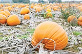 Free the Seeds event coming up soon
