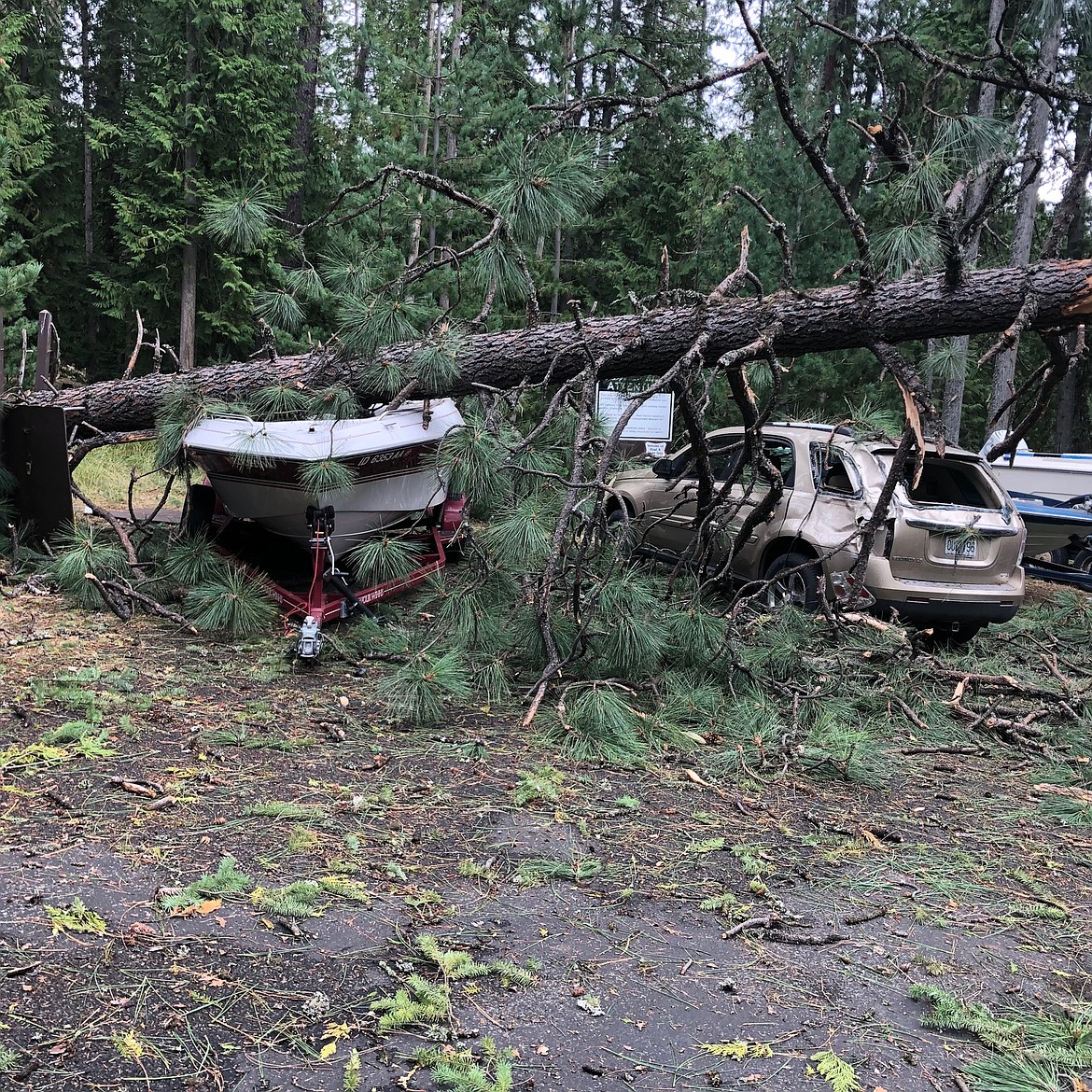 In this September 2020 photo taken by Hillary Main, a boat at Sam Owen Campground lays under a tree knocked down in a massive windstorm. Thousands of trees in the area that were damaged by the storm are now being removed by crews, U.S. Forest Service announced Wednesday.