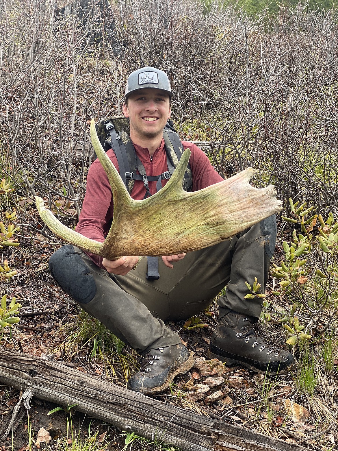Danner Haskins found this older moose antler last May in Mineral County while out shed hunting. (Photo courtesy Danner Haskins)