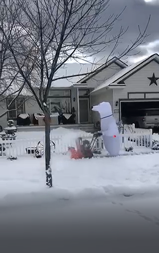 Annie Williamson, a single mom of three, cleared 21 driveways in her neighborhood in an inflatable costume on Thursday, switching to another costume before tackling the other side of the street. Photo courtesy of Anne Capellen
