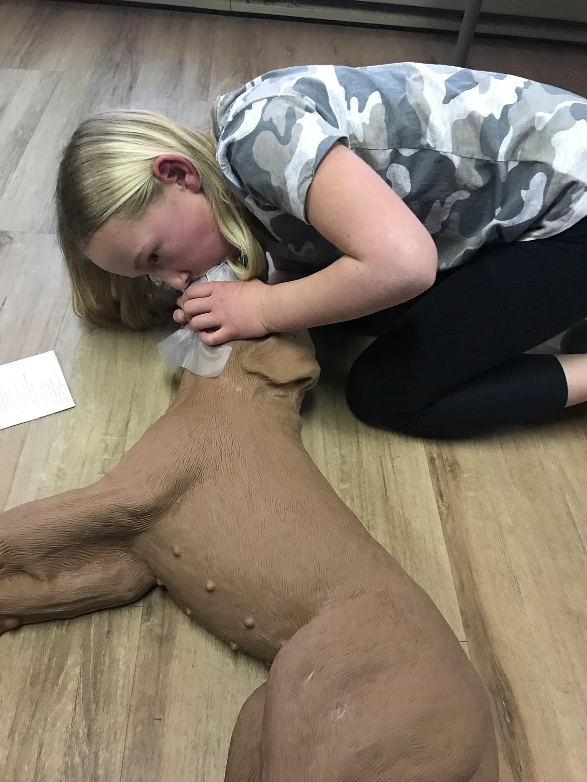 A pet first aid and CPR course attendee practices "mouth to snout" CPR on a canine dummy.
Courtesy photo
