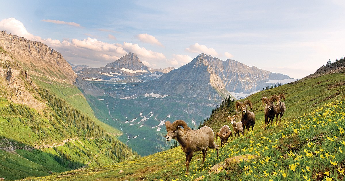 Glacier hot sale backpacking permits