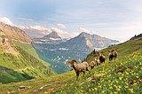 Permits to park, one-way hiking on Highline Trail, just some of changes that could be coming to Glacier National Park
