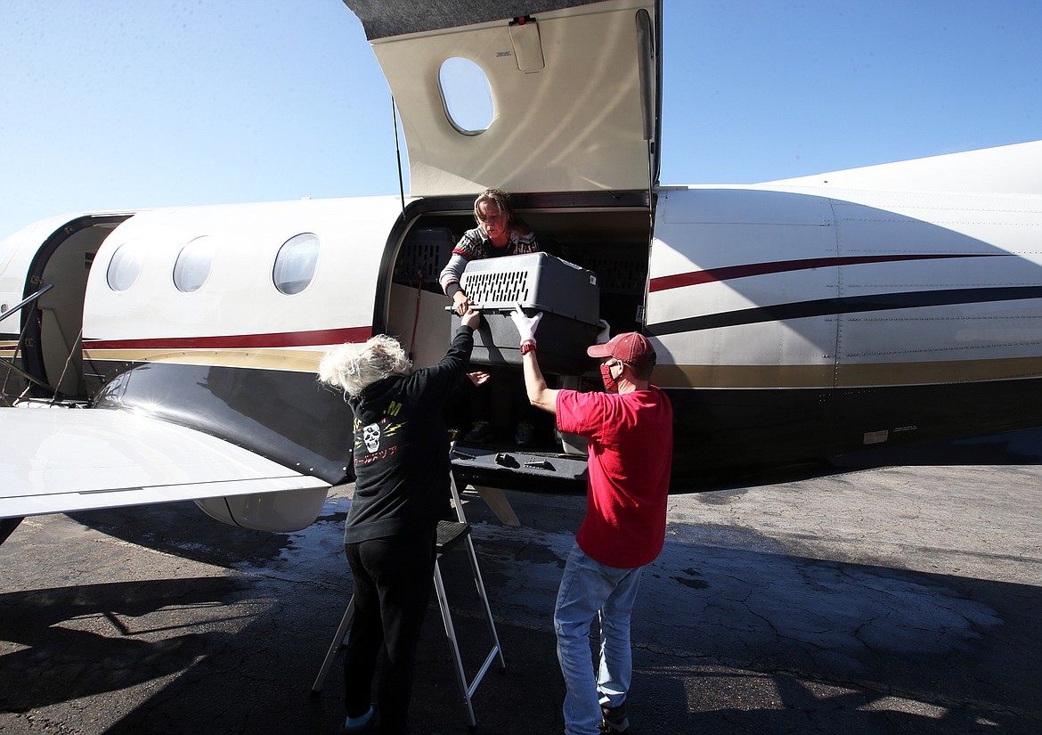 Pearl Warner and David Espen reach for a kennel from Angela Keeling at the Coeur d'Alene Airport on Wednesday.