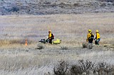 Setting fire for frogs: Prescribed burn makes way for endangered amphibian