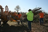 Some cities schedule spring yard cleanup