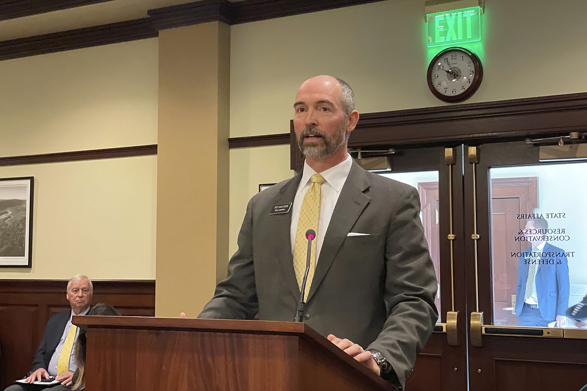 Republican Sage Dixon address the House State Affairs Committee, Wednesday, March 10, 2021, in the Statehouse in boise. The committee introduced legislation intended to give Idaho lawmakers veto power over federal government actions and federal court decision.