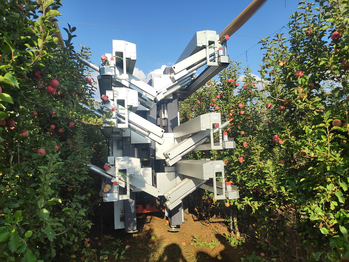 bagværk løg Kostbar Apple-picking robots set to revolutionize orchard work | Basin Business  Journal - Central Washington's Farm News