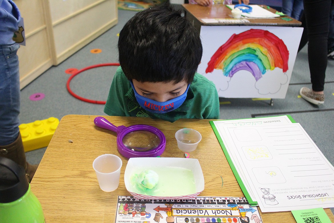 Noah Valencia watches his paper tub as vinegar reacts with the baking soda rock on his desk, revealing a gold coin as the kindergarten class at North Elementary School in Moses Lake celebrated St. Patrick's Day on Wednesday.