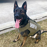 Grant County Sheriff’s Office K-9 receives body armor