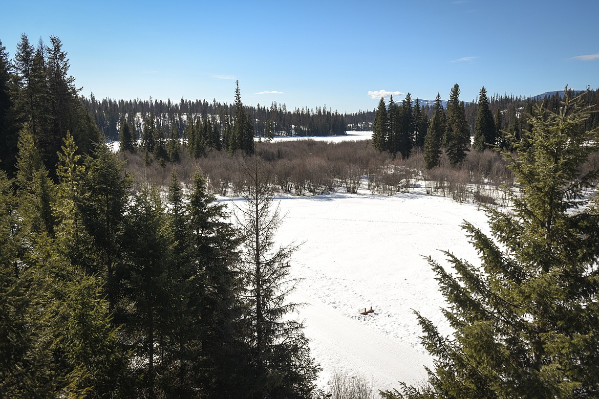 A view across Dog Creek to Dog Lake from the deck of the lodge house at Dog Creek Lodge & Nordic Center in Olney on Wednesday. (Casey Kreider/Daily Inter Lake)