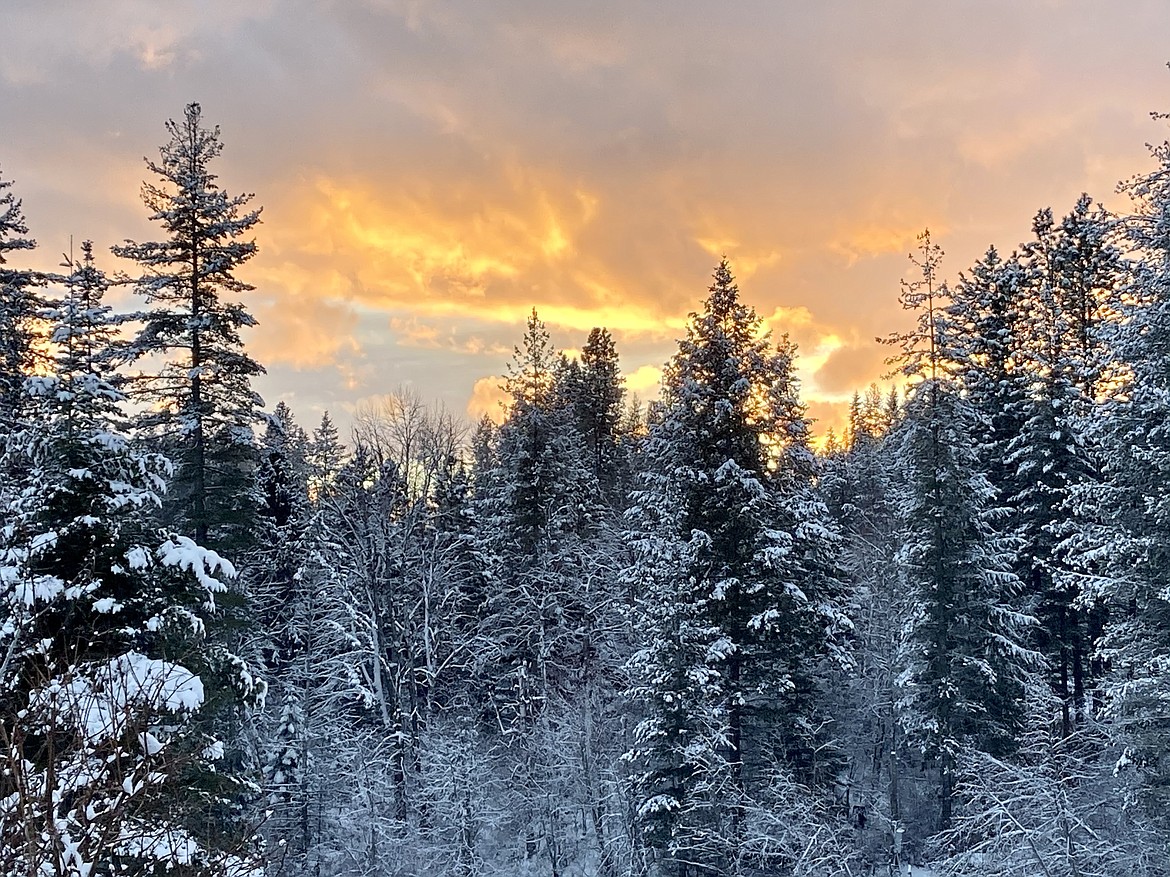 Laura Phillips captured this Best Shot from her deck on Feb. 25. "So much beauty on this 3rd rock from the Sun," she wrote in an email sharing the photo. If you have a photo that you took that you would like to see run as a Best Shot or I Took The Bee send it in to the Bonner County Daily Bee, P.O. Box 159, Sandpoint, Idaho, 83864; or drop them off at 310 Church St., Sandpoint. You may also email your pictures in to the Bonner County Daily Bee along with your name, caption information, hometown and phone number to bcdailybee@bonnercountydailybee.com.