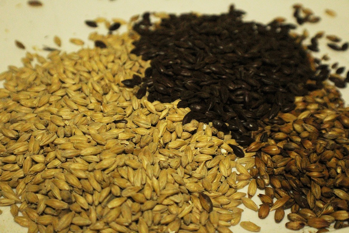 A variety of grains used to make the award winning beers at Kootenai River Brewing Company.