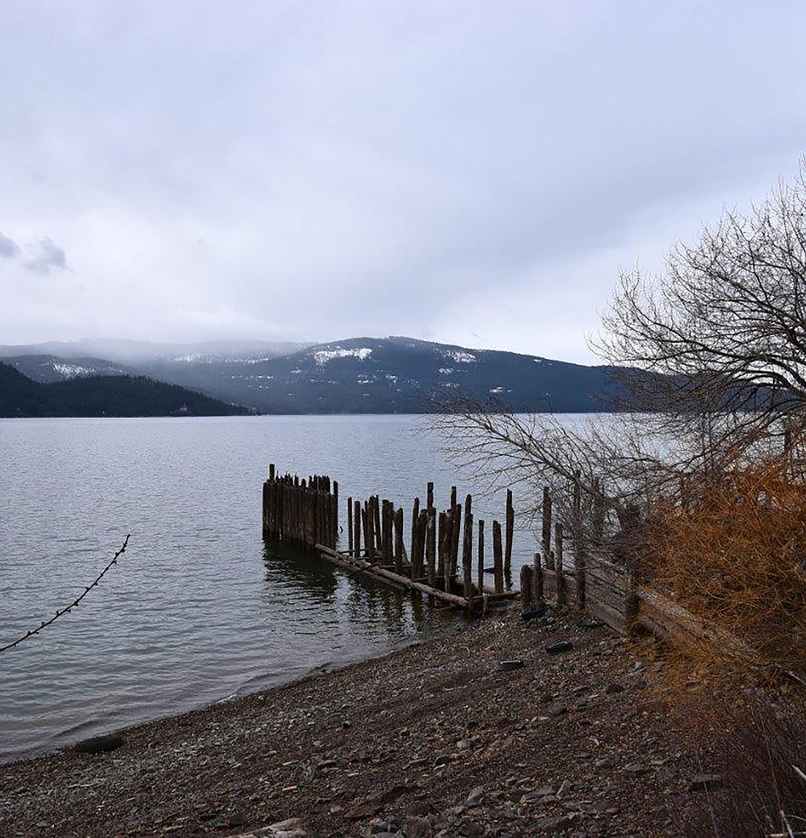 Robert Kalberg captured this Best Shot during a recent adventure drive in the Sunnyside Road area. If you have a photo that you took that you would like to see run as a Best Shot or I Took The Bee send it in to the Bonner County Daily Bee, P.O. Box 159, Sandpoint, Idaho, 83864; or drop them off at 310 Church St., Sandpoint. You may also email your pictures in to the Bonner County Daily Bee along with your name, caption information, hometown and phone number to bcdailybee@bonnercountydailybee.com.