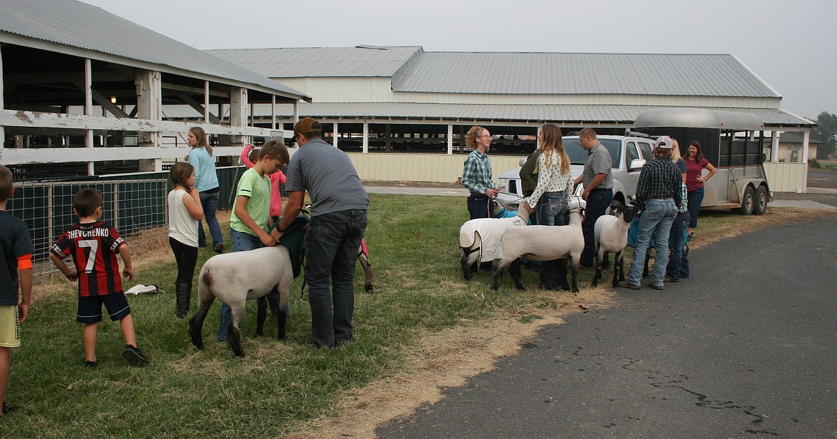 Othello Fair planning begins tentatively Columbia Basin Herald