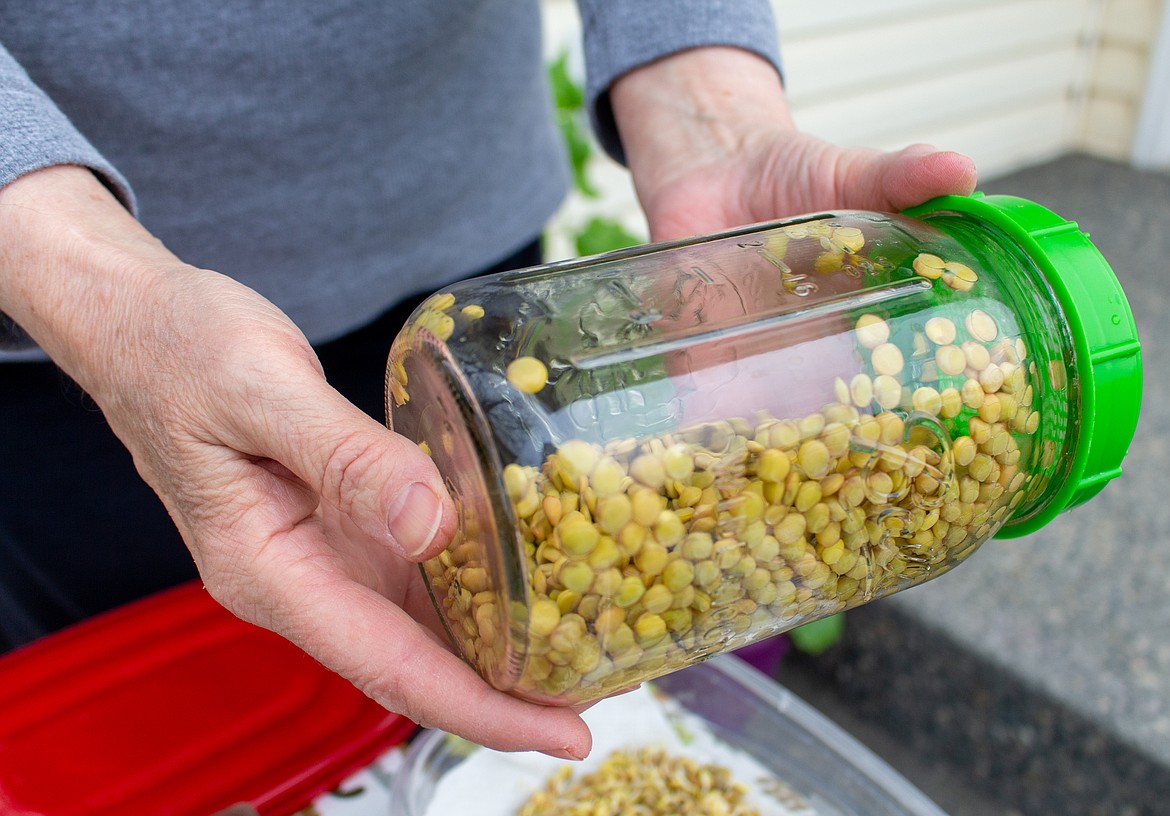 Donna Whitehall holds up a jar of lentils in the process of sprouting in one of her jars outside her apartment in Moses Lake on Wednesday afternoon.