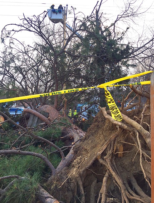 Windstorm blows over with little damage Coeur d�Alene Press