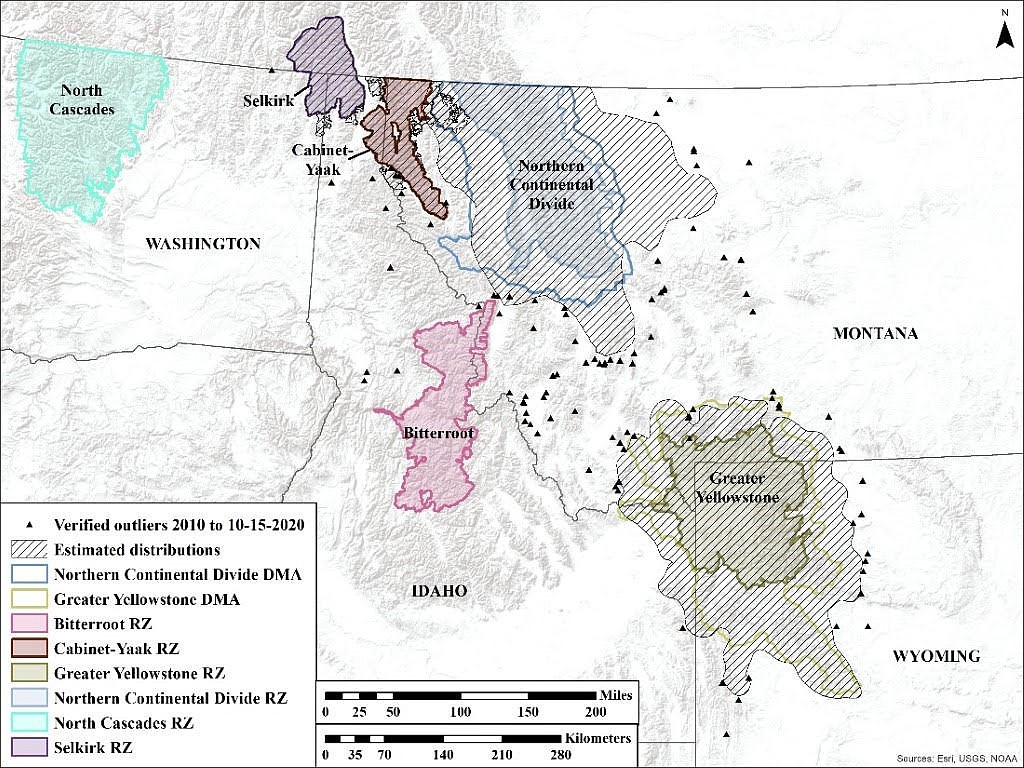 (Photo Courtesy of U.S. FISH AND WILDLIFE SERVICE) distribution of grizzly bears in the Northern Continental Divide, Greater Yellowstone, Cabinet-Yaak, and Selkirk Ecosystems, and verified grizzly bear outlier observations between the occupied ecosystems. There are currently no known populations in the North Cascades and Bitterroot Ecosystems.