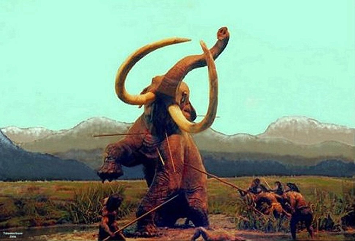 As the climate warmed during the last part of the Ice Age, large mammals such as the Mastodon migrated into the Shenandoah Valley and were hunted by the Indians.