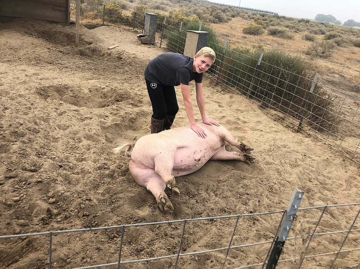 Heather Fitzhugh's son, Caden Fitzhugh, handles one of his pigs in his pen near their family home in Royal City.