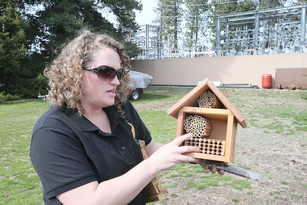 University of Idaho Master Gardener program coordinator Kara Carleton on Friday holds an educational observation hive as she talks about how native bees like to nest in pithy stems and burrows.