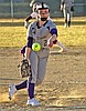 Druyvestein blanks Hamilton