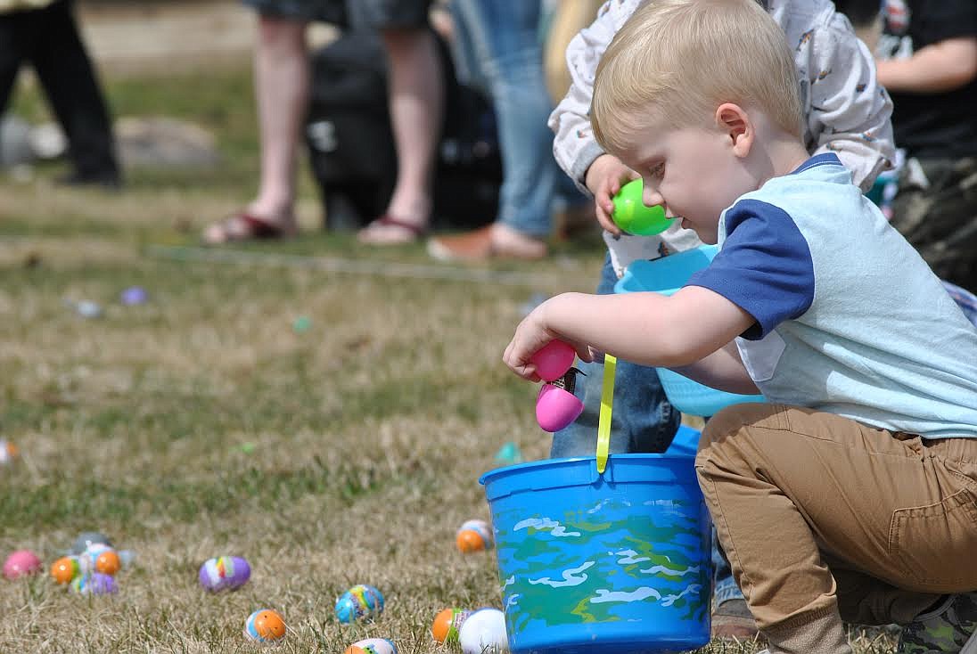 Noah Stenberg from Superior retrieved an egg in the 2-and-under category during the St. Regis egg hunt. He even won a new bike and helmet to round off his special day. One of the organizers Amanda Scott of St. Regis said, "I think it went really well! A little chaotic with only a month to plan but for the most part really well!" Numerous local businesses and individuals donated their time, money, and efforts to help make the egg hunt a success. (Amy Quinlivan/Mineral Independent)