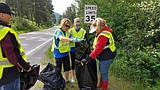 Many hands make light work: Clean Your Fork event helps tidy town