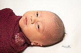 Birth Announcements