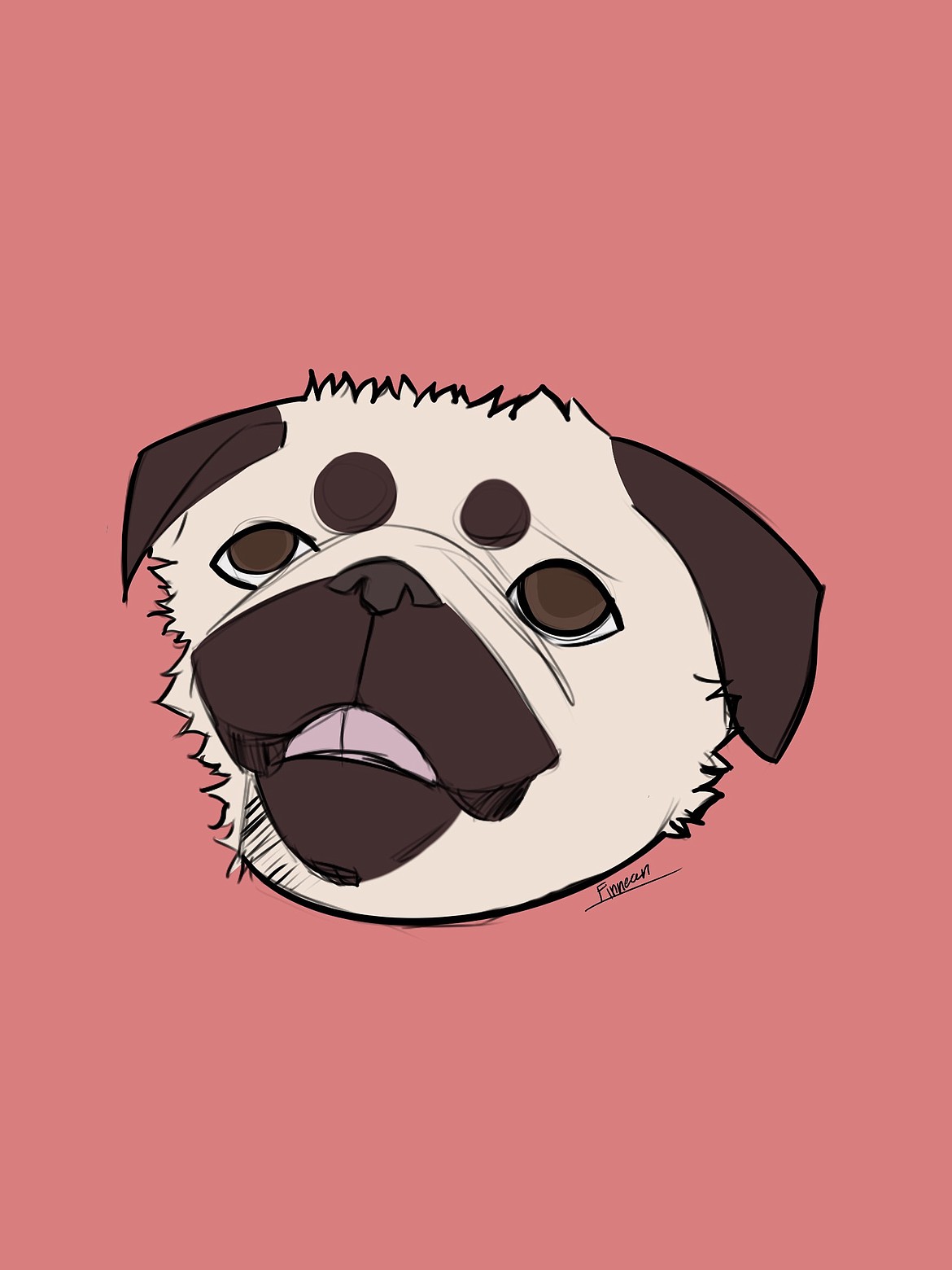 A digital art piece of a pug that Nora Finnegan Hines made for a friend and was particularly proud of as dogs aren't something she draws a lot of.