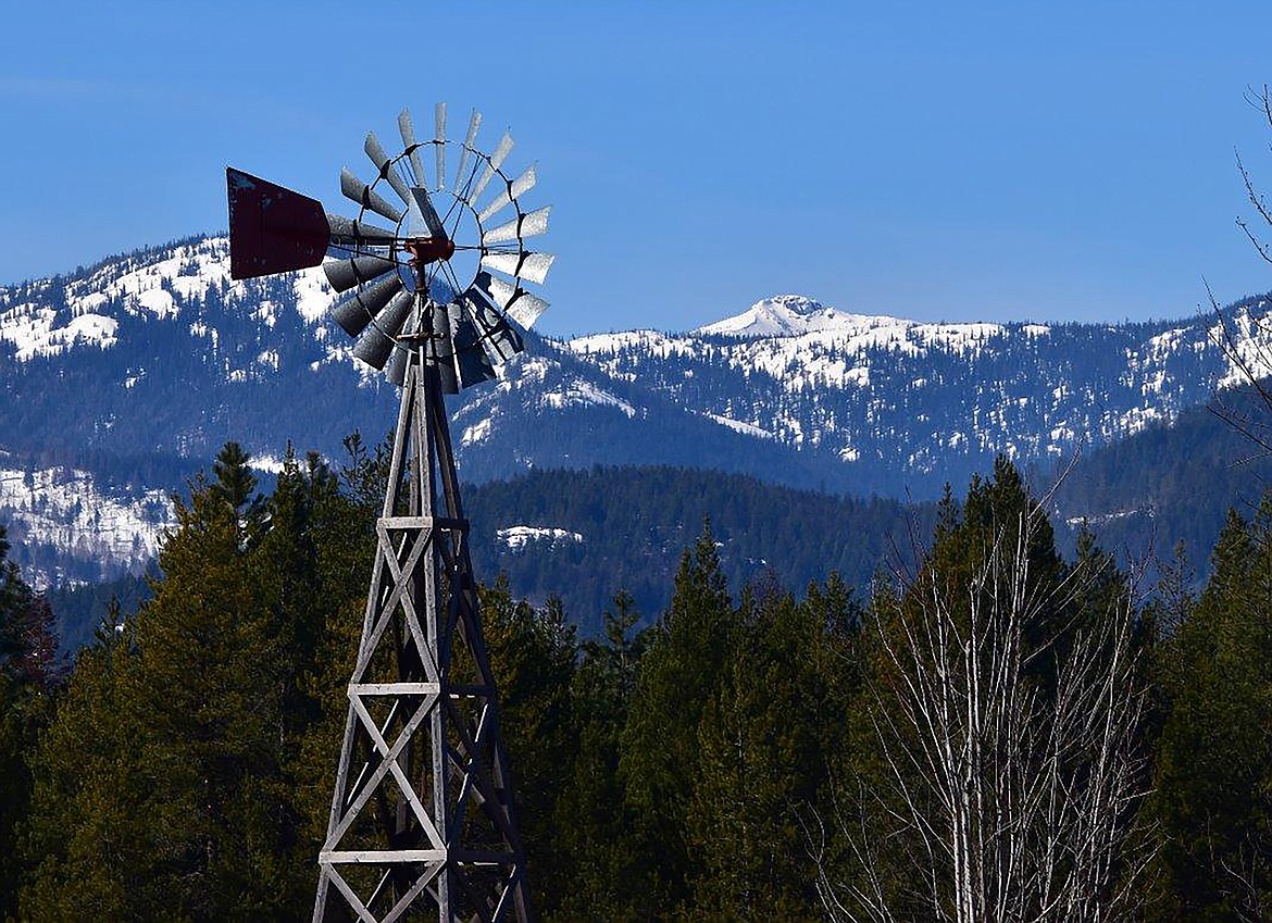 Local photographer Robert Kalberg captured this Best Shot during an "adventure drive" in the Sunnyside Road area in mid-March. If you have a photo that you took that you would like to see run as a Best Shot or I Took The Bee send it in to the Bonner County Daily Bee, P.O. Box 159, Sandpoint, Idaho, 83864; or drop them off at 310 Church St., Sandpoint. You may also email your pictures in to the Bonner County Daily Bee along with your name, caption information, hometown and phone number to bcdailybee@bonnercountydailybee.com.