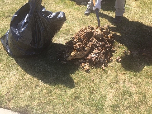 Gloria Wurm woke Tuesday morning to discover a garbage bag worth of feces on her lawn. The 82-year-old Hayden resident enlisted the help of a friend to lift the bag into a truck and haul it to the dump. (Courtesy of Gloria Wurm)