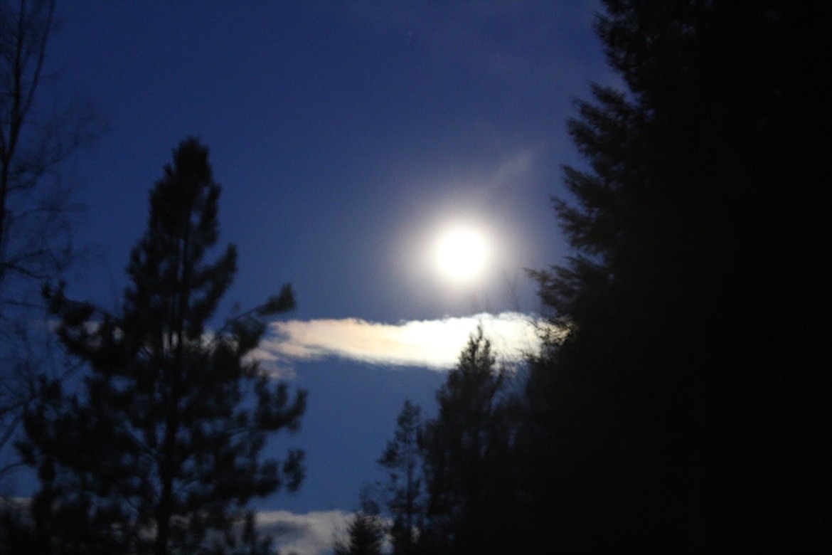 Larry O. Smith captured this Best Shot of a "worm moon" through the trees in late March. If you have a photo that you took that you would like to see run as a Best Shot or I Took The Bee send it in to the Bonner County Daily Bee, P.O. Box 159, Sandpoint, Idaho, 83864; or drop them off at 310 Church St., Sandpoint. You may also email your pictures in to the Bonner County Daily Bee along with your name, caption information, hometown and phone number to bcdailybee@bonnercountydailybee.com.