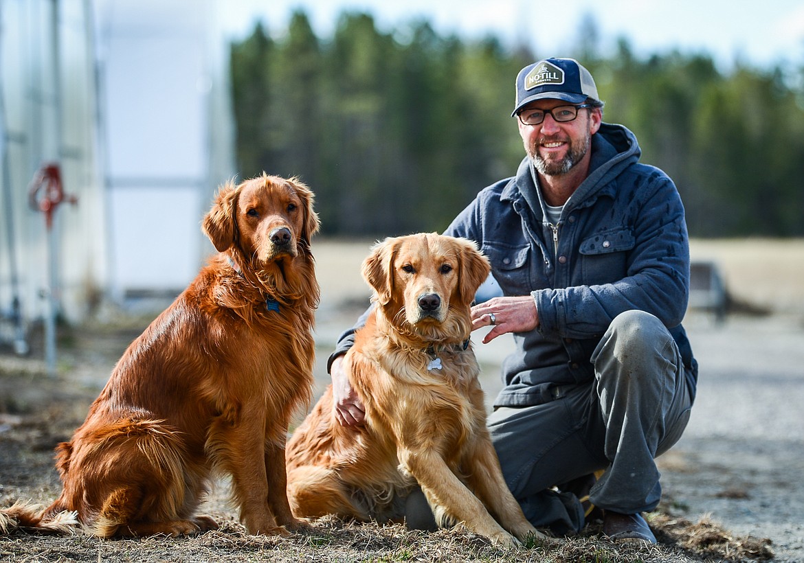 Todd Ulizio with golden retrievers Henry, left, and Willie at Two Bear Farm on Tuesday, April 13. (Casey Kreider/Daily Inter Lake)