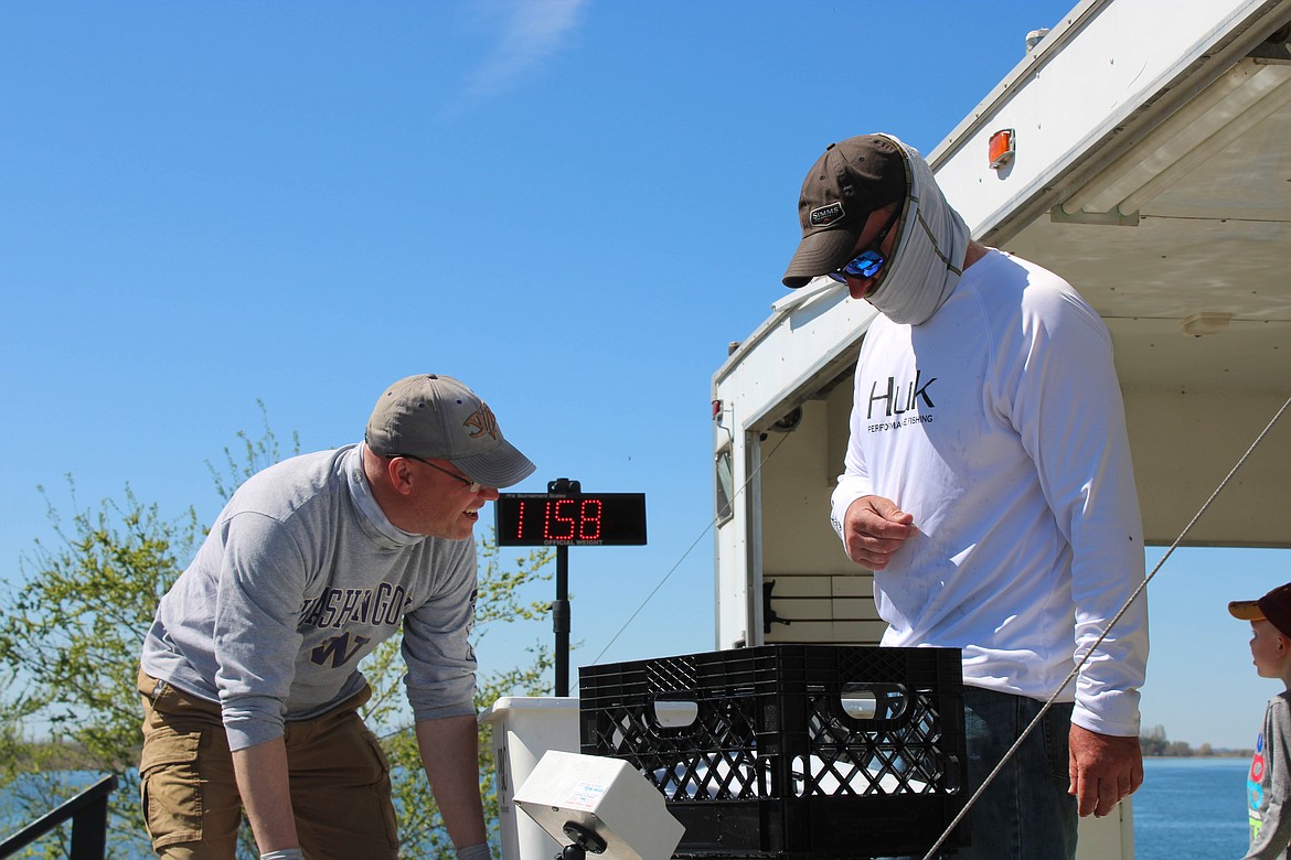 Jon Warner (left) weighs in his Sunday fish at the 41st Potholes Open.