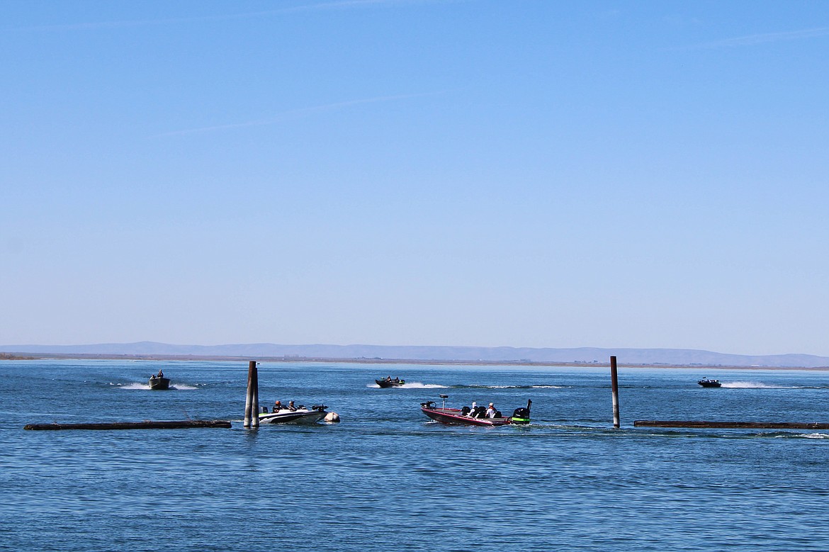 Boats returning to the dock to weigh in at the 41st Potholes Open bass tournament.