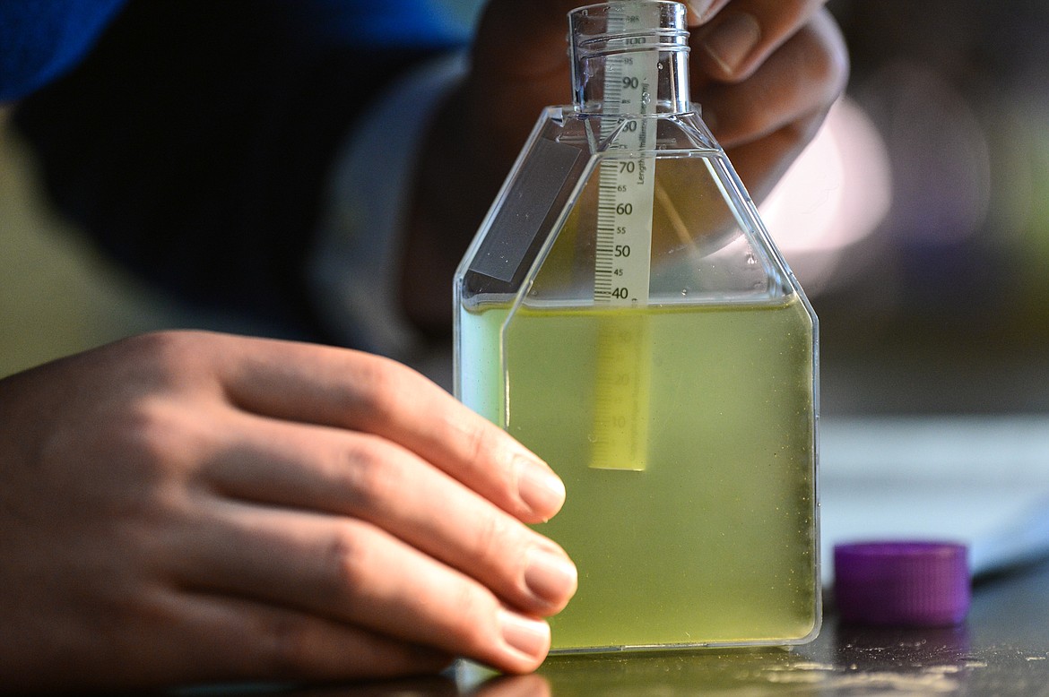 Students in David Lillard's AP Biology class test a sample of water containing algae to determine the secchi depth as part of an ecology unit at Glacier High School on Wednesday, April 21. Secchi depth is the depth of water beyond which a high-contrast pattern on a submerged disk is no longer visible. (Casey Kreider/Daily Inter Lake)