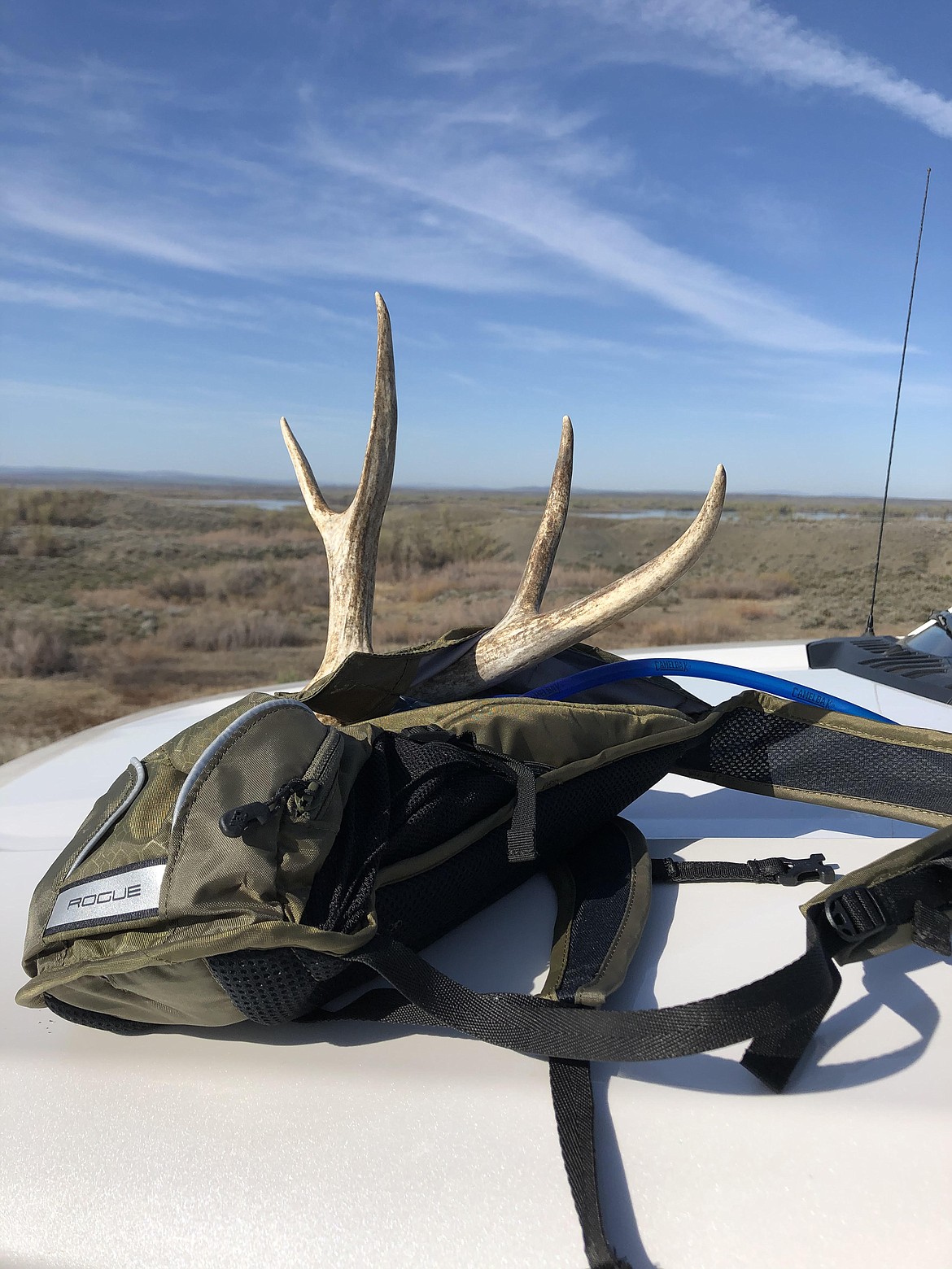 An antler found outside Moses Lake on Sunday.